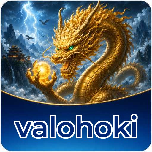 Performa valohoki